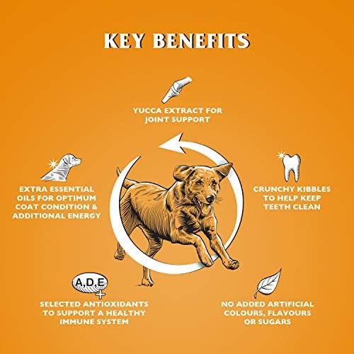 Dr John Gold Complete Dry Dog Food Chicken with Vegetables 15 kg