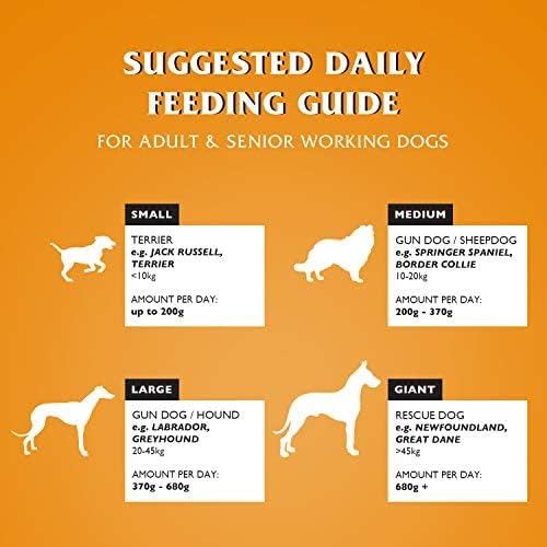 Dr John Gold Complete Dry Dog Food Chicken with Vegetables 15 kg