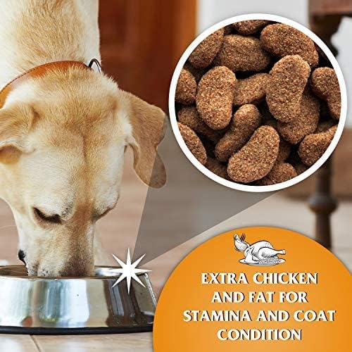 Dr John Gold Complete Dry Dog Food Chicken with Vegetables 15 kg