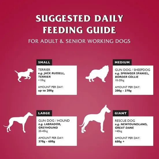 Dr John Silver Complete Dry Dog Food Beef with Vegetables 15kg