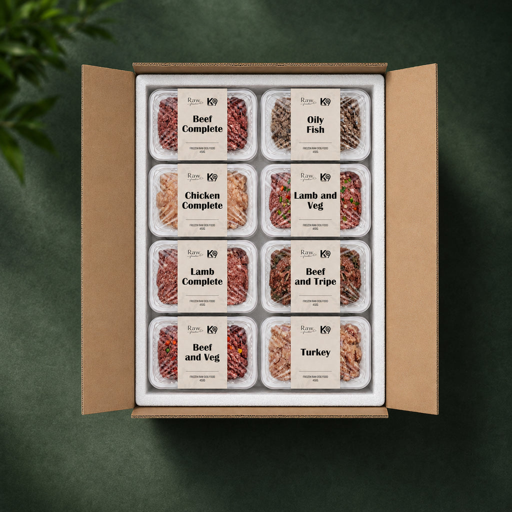 K9 Raw Mixed Flavour Box 454g Blocks