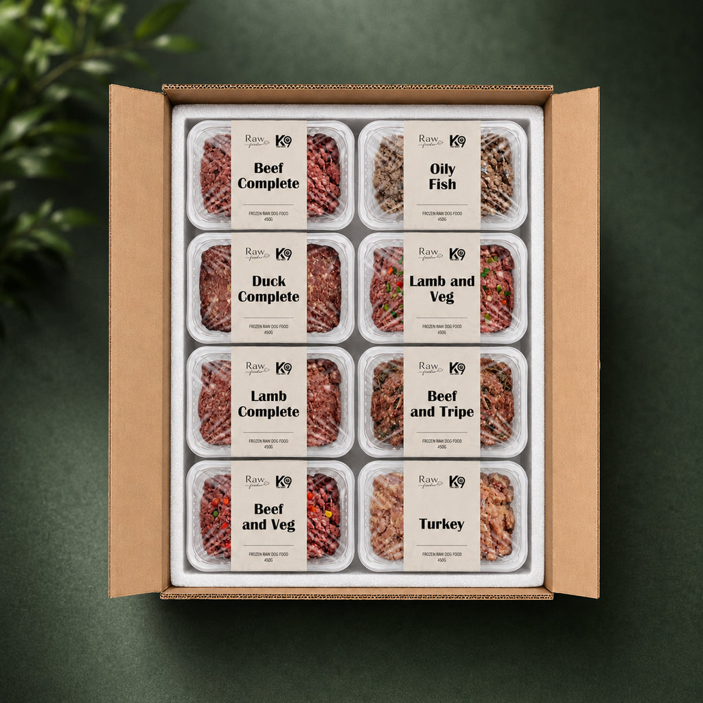 K9 Raw No Chicken Box 454g Blocks