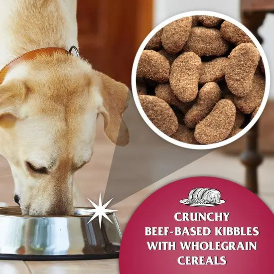 Dr John Silver Complete Dry Dog Food Beef with Vegetables 15kg