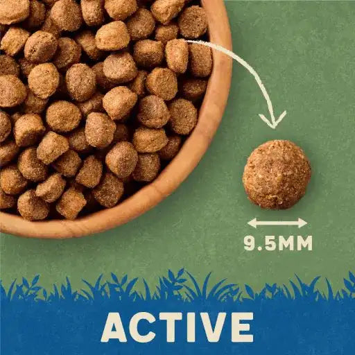 Harringtons Active Worker Complete Lamb & Rice, 15KG