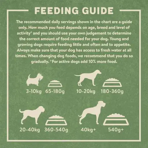 Harringtons Active Worker Complete Lamb & Rice, 15KG