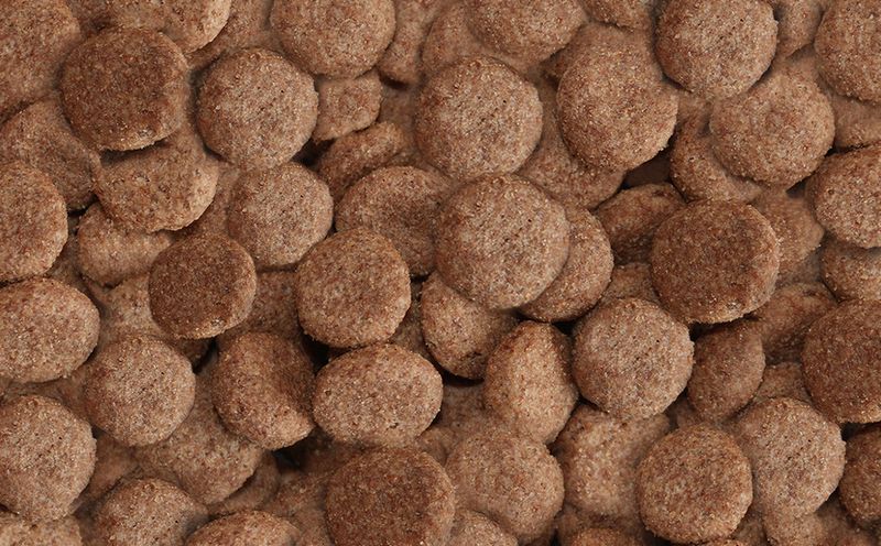 Arkwrights Complete Beef Dry Dog Food 15kg