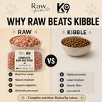 K9 Raw – complete raw dog food