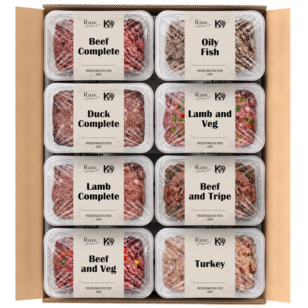 K9 Raw No Chicken Box 454g Blocks