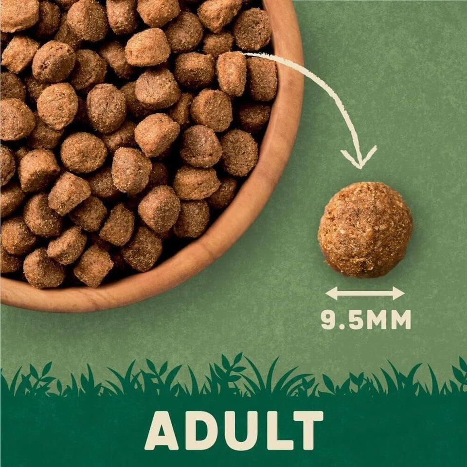 Harringtons Complete Dry Adult Dog Food Lamb & Rice 15kg