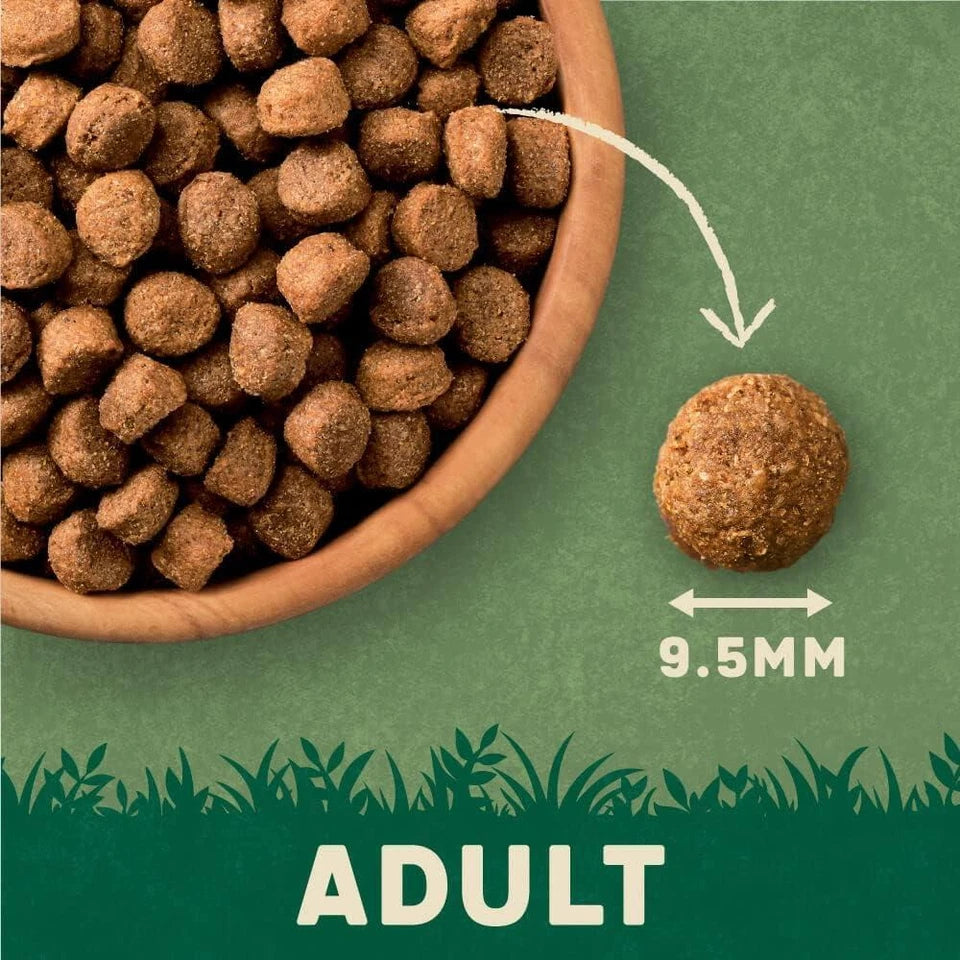 Harringtons Complete Dry Adult Dog Food Turkey 15kg